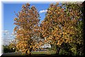 Jesień w Łowiczu i okolicach